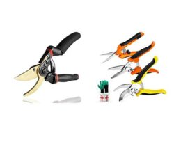 Read more about the article Best Garden Pruners