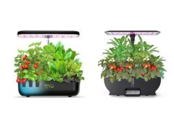 Read more about the article Best Hydroponic Systems Of 2022