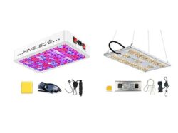 Read more about the article Best Led Grow Light