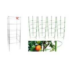 Read more about the article Best Tomato Cages