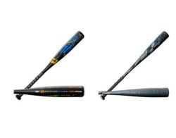 Read more about the article The 10 Best Baseball Bats