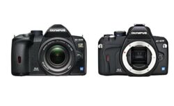 Read more about the article The 10 Best Dslr Cameras