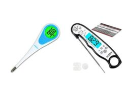 Read more about the article The Best Digital Thermometer