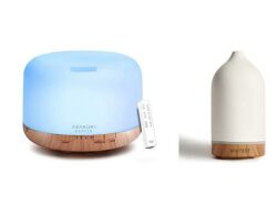 Read more about the article The Best Oil Diffusers