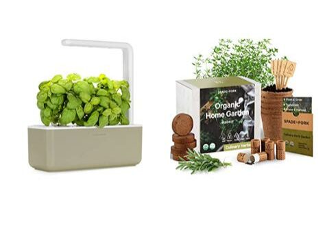 Best-Herb-Garden-Kits